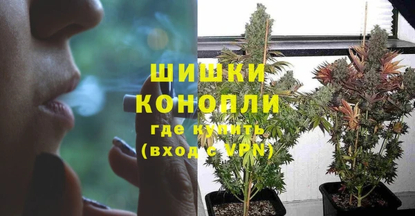прущая мука Богородицк