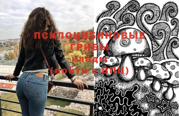 MDMA Premium VHQ Аркадак
