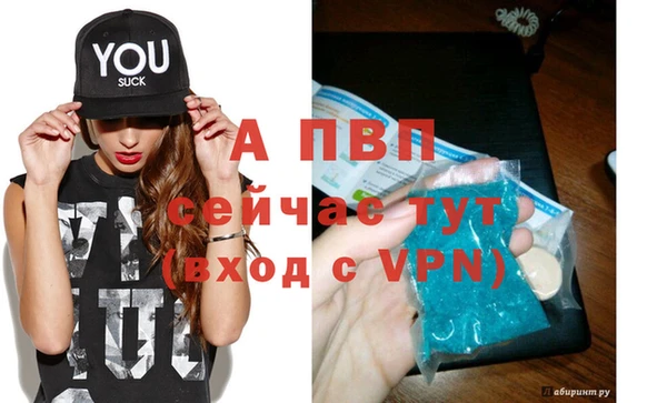 ECSTASY Богданович