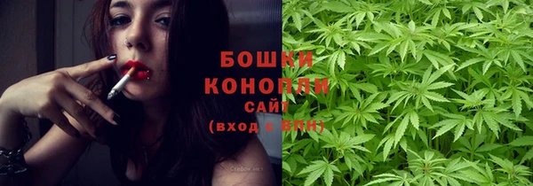 дмт Богородск