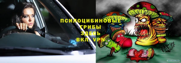 дмт Богородск