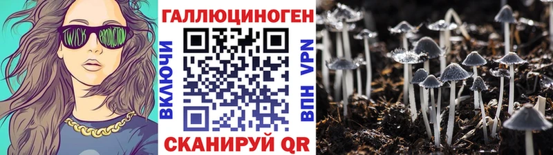 блэк спрут маркетплейс  Кубинка  Псилоцибиновые грибы MAGIC MUSHROOMS 