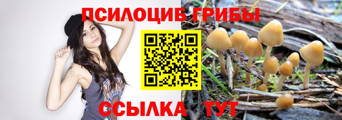 Кубинка  Галлюциногенные грибы ЛСД  где купить наркоту  Вход с VPN  Псилоцибиновые грибы мухоморы 
